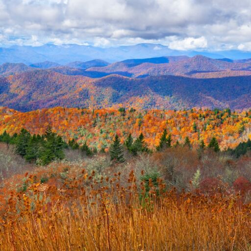 Beautiful autumn mountain panorama. Fall mountain scenery. A panoramic view of the Smoky Mountains from the Blue Ridge Parkway in North Carolina,USA. Image for banner or web header. Photo via Shutterstock.