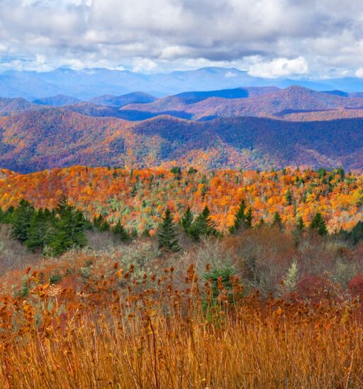 Beautiful autumn mountain panorama. Fall mountain scenery. A panoramic view of the Smoky Mountains from the Blue Ridge Parkway in North Carolina,USA. Image for banner or web header. Photo via Shutterstock.