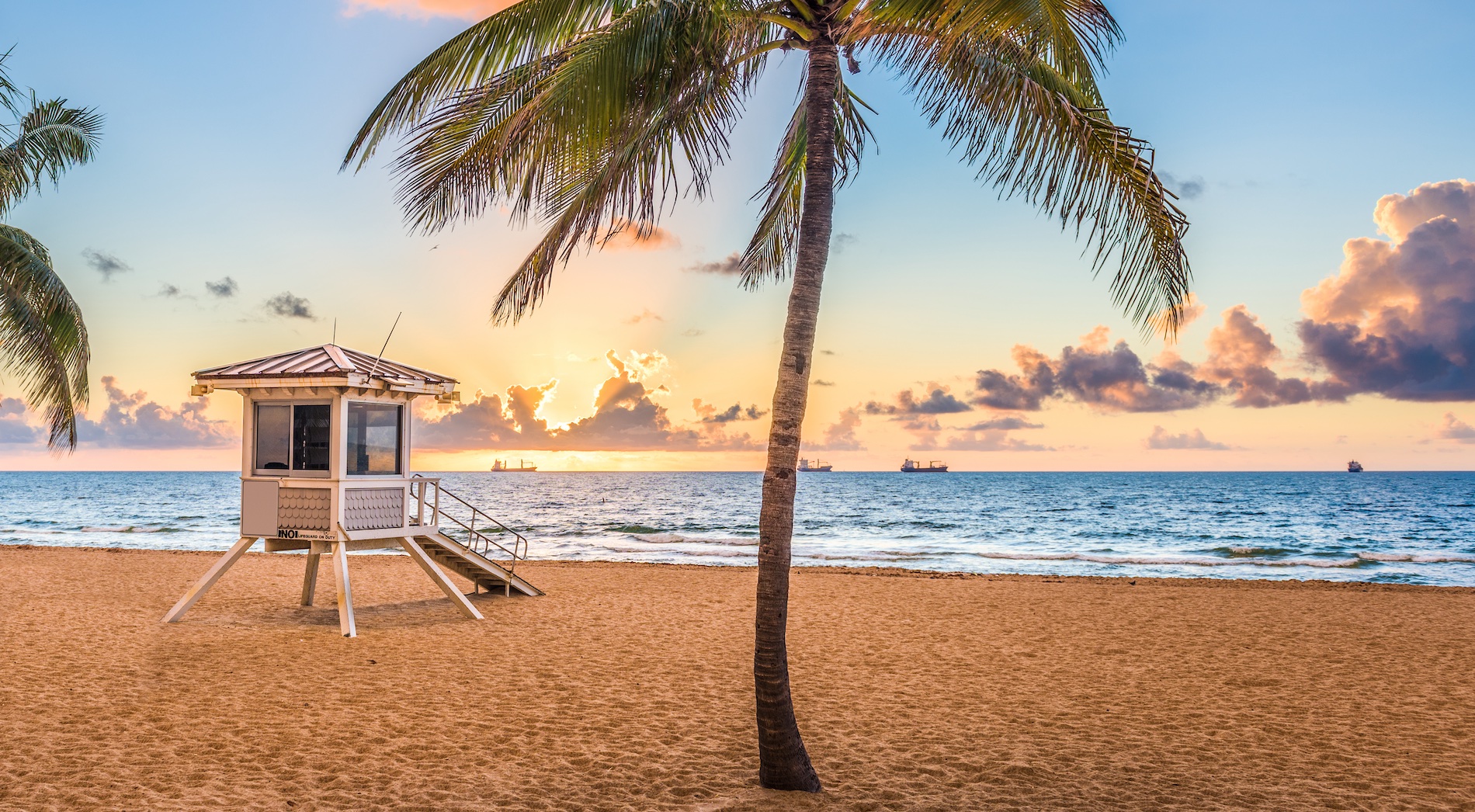 Visit Fort Lauderdale Food and Wine Festival 2025 Festivals Fifty