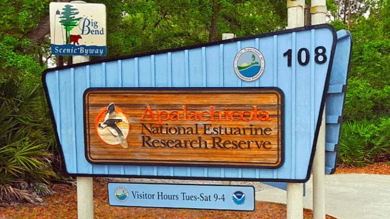 Apalachicola National Estuarine Research Reserve