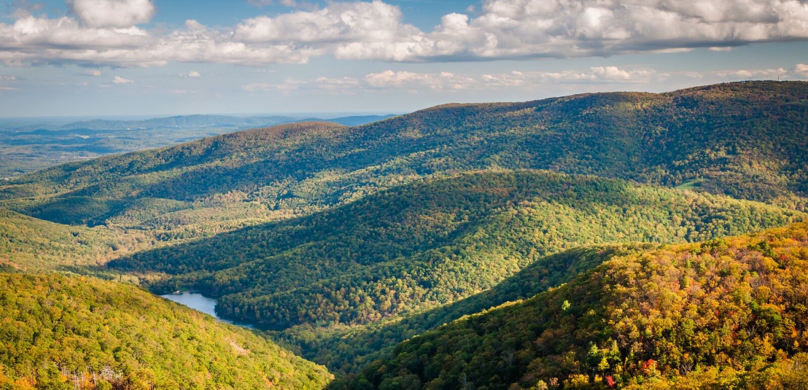 Charlottesville, Virginia. Photo via Shutterstock.