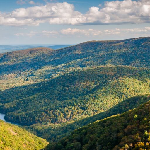 Charlottesville, Virginia. Photo via Shutterstock.