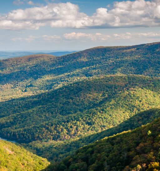 Charlottesville, Virginia. Photo via Shutterstock.