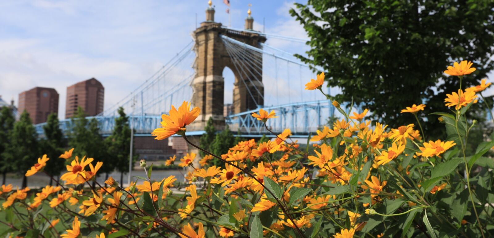 The John A. Roebling Bridge was built in 1866 to connect Covington Kentucky to Cincinnati , Ohio. It spans the Ohio River. Photo by Shutterstock.