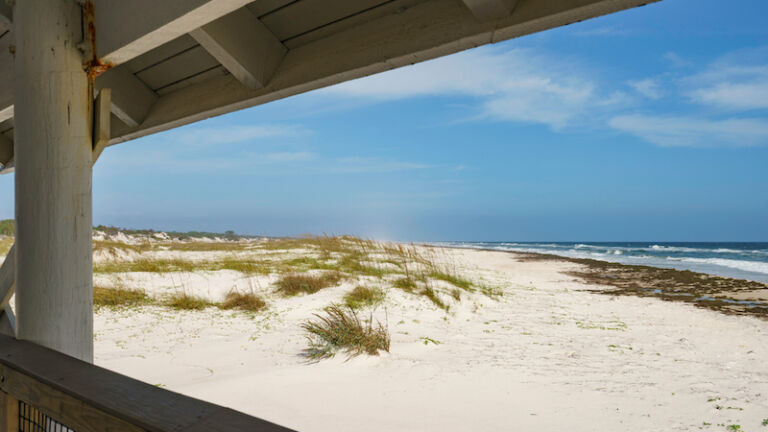 Dr. Julian G. Bruce St. George Island State Park. Photo by Shutterstock.