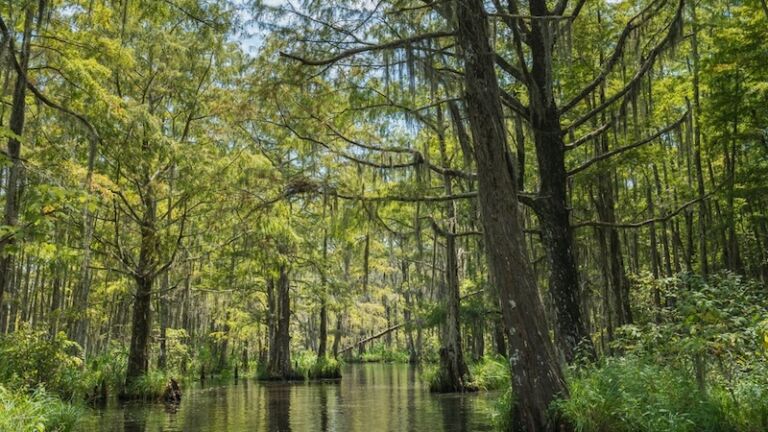 Slidell, Louisiana. Photo via Shutterstock.