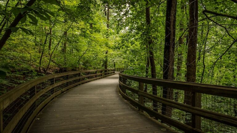 Along the trail at Monticello. Photo via Shutterstock.