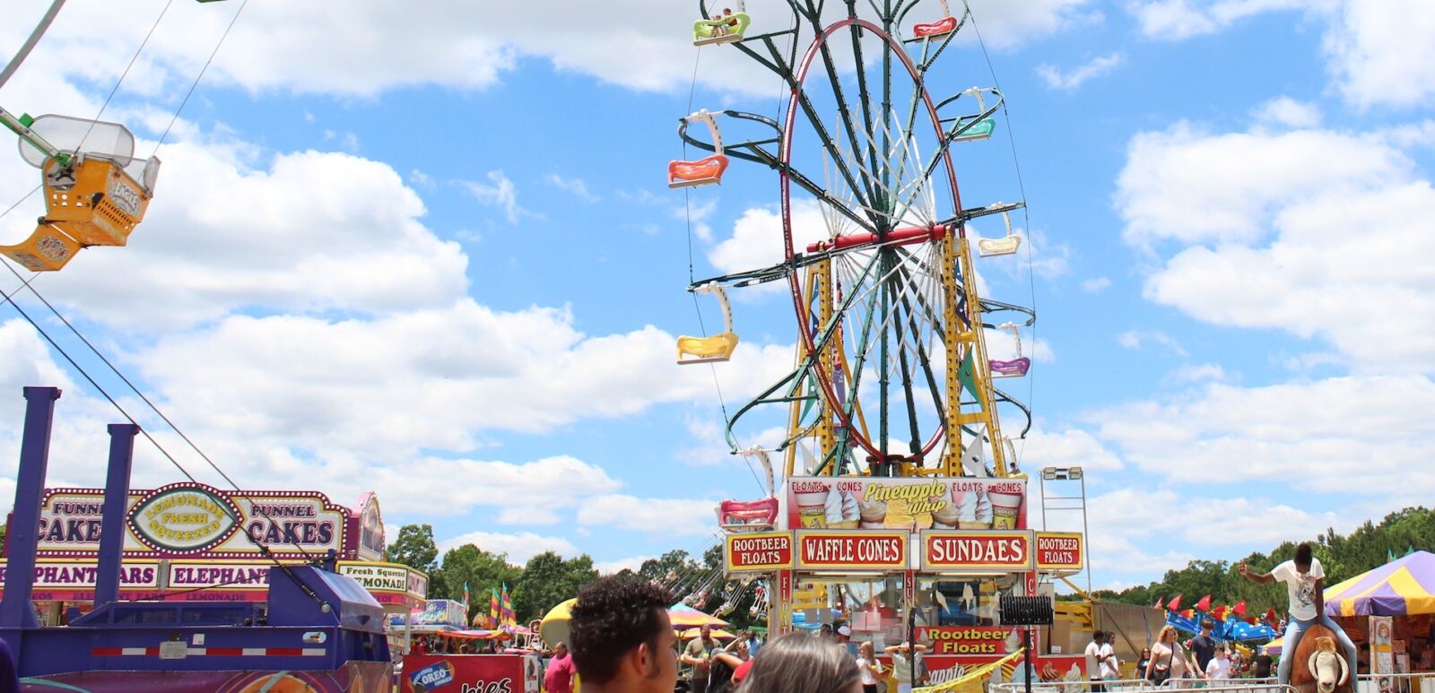 Ferris wheel at a state fair.