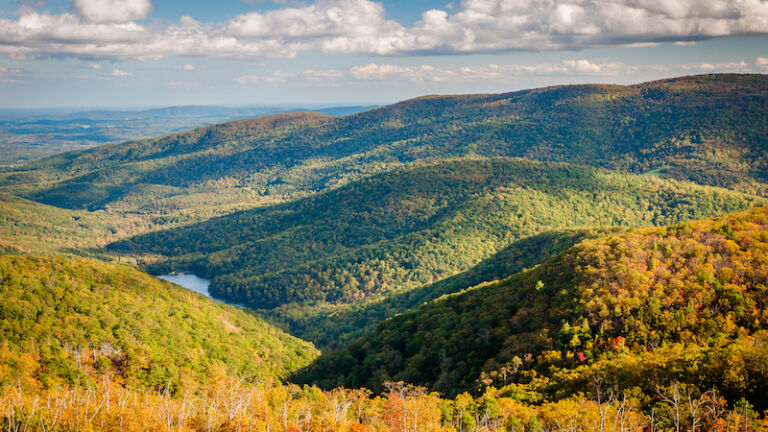 Shenandoah National Park, Virginia.