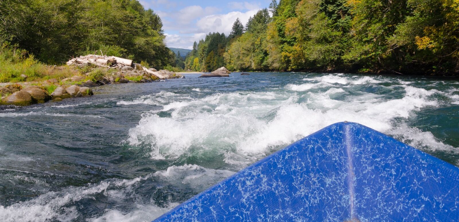 View of approaching white water on a bright summer day from a drift boat on Oregon's Mckenzie River near Eugene Oregon.