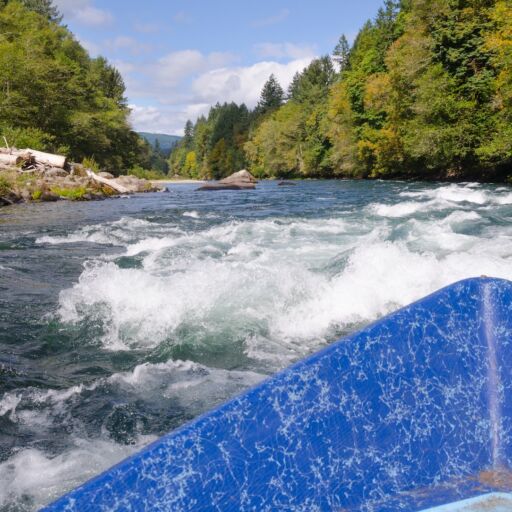 View of approaching white water on a bright summer day from a drift boat on Oregon's Mckenzie River near Eugene Oregon.