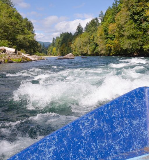 View of approaching white water on a bright summer day from a drift boat on Oregon's Mckenzie River near Eugene Oregon.