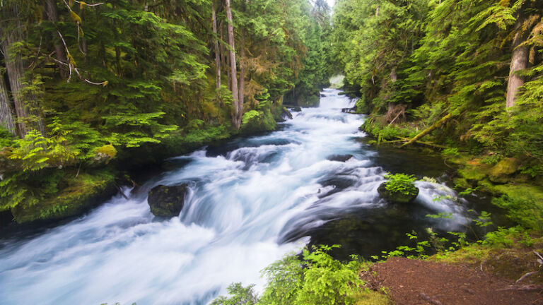 The McKenzie River flows through. Photo via Shutterstock.