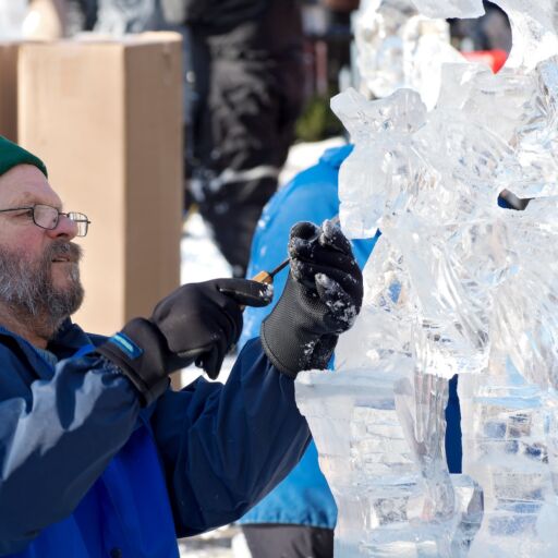 Saint Paul Winter Carnival.