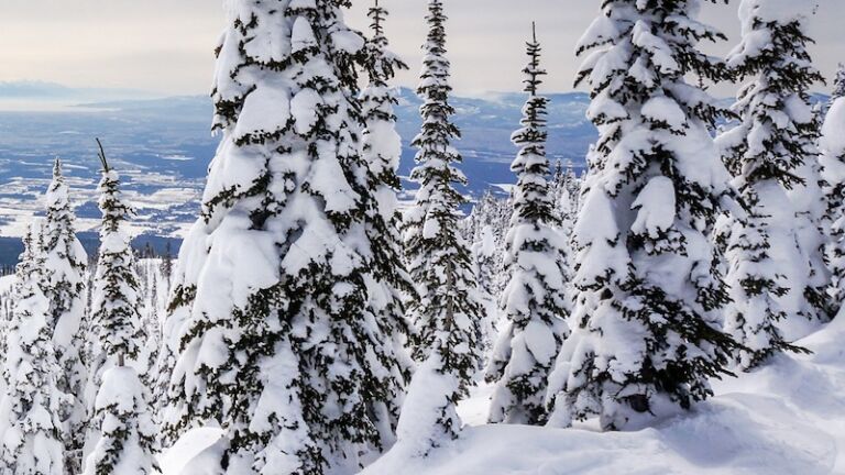 Snow covered Montana mountains.