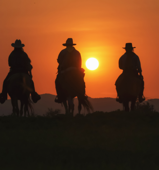 Vintage and silhouettes of a group of cowboys sitting on horseback at sunset.