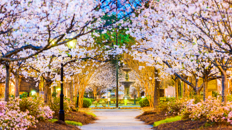 Macon, Georgia, USA in the spring.