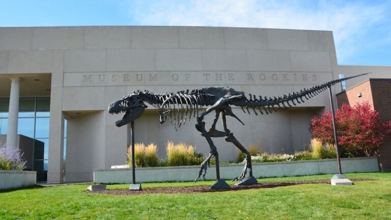 Museum of the Rockies