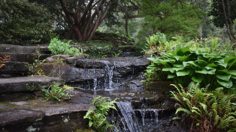 Dunaway Gardens in Newnan, Georgia. Photo via Shutterstock.