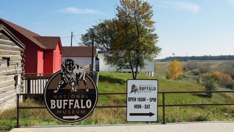 National Buffalo Museum